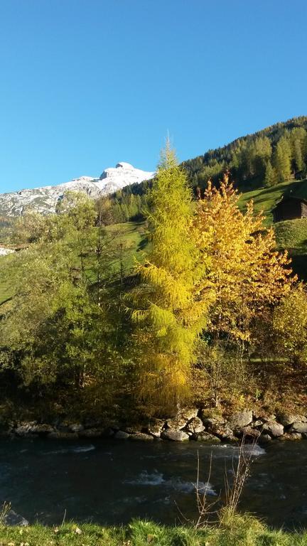 Appartamento Haus Harbauer Neustift im Stubaital Esterno foto