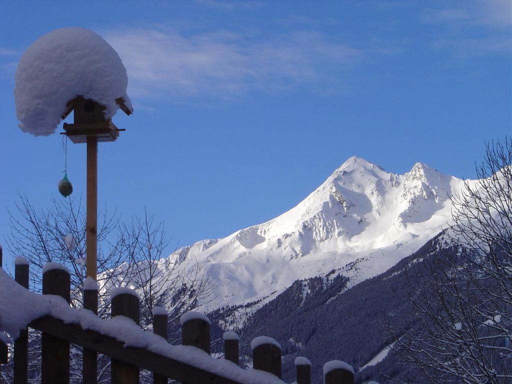 Appartamento Haus Harbauer Neustift im Stubaital Esterno foto